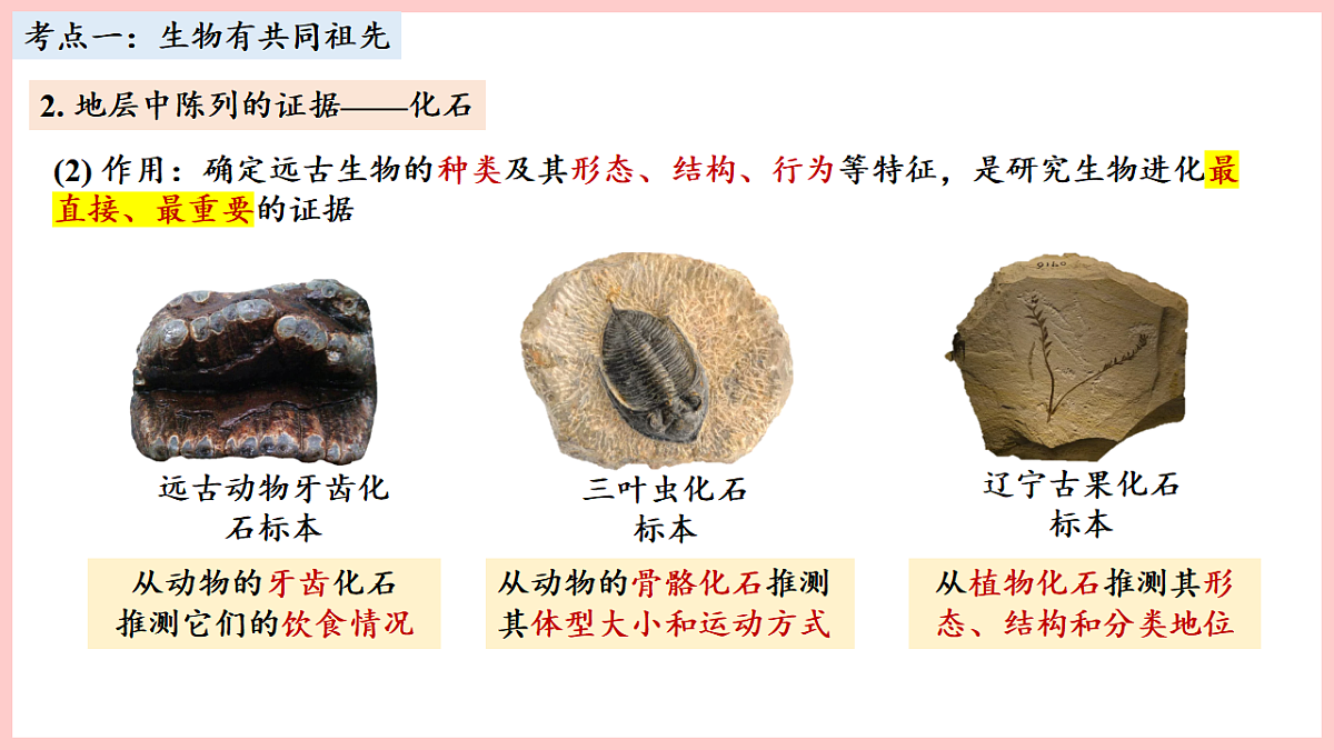 17675744第4页