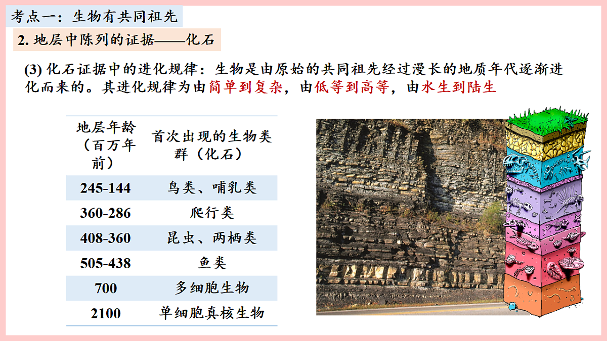 17675744第5页
