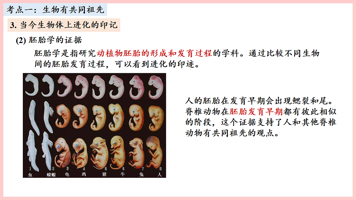 17675744第7页