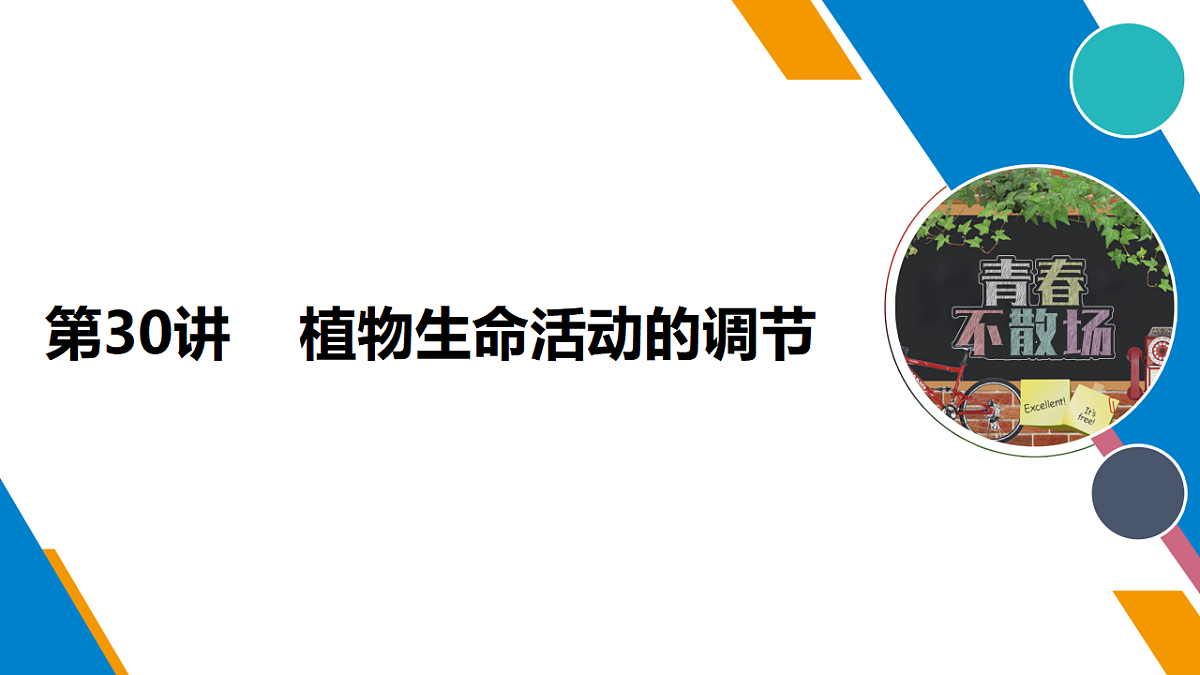 17675753第1页