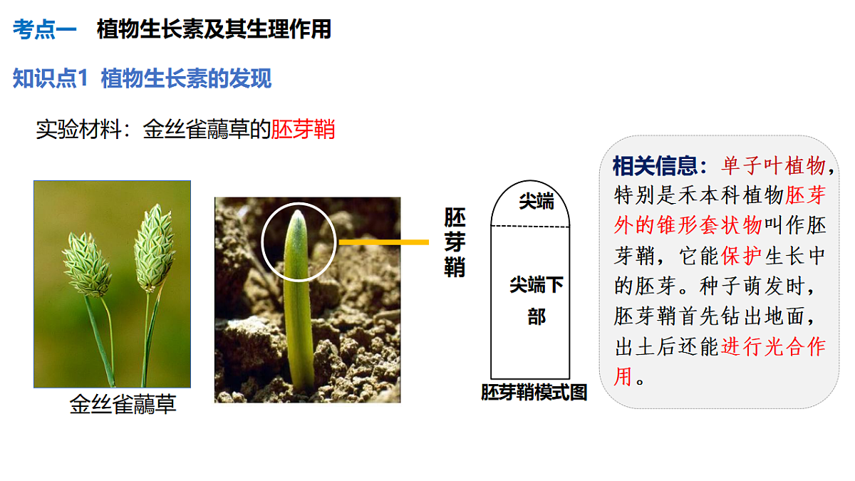 17675753第3页
