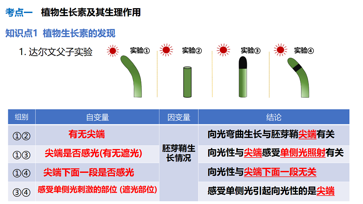 17675753第4页