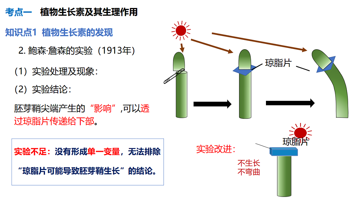17675753第5页