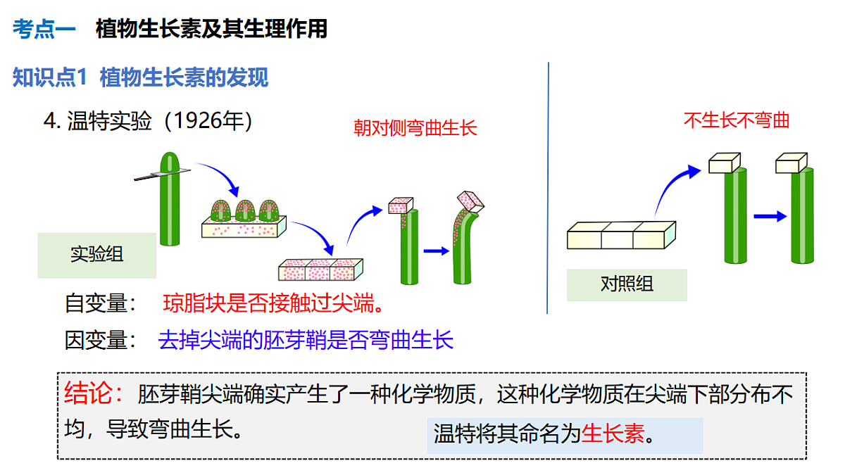 17675753第7页