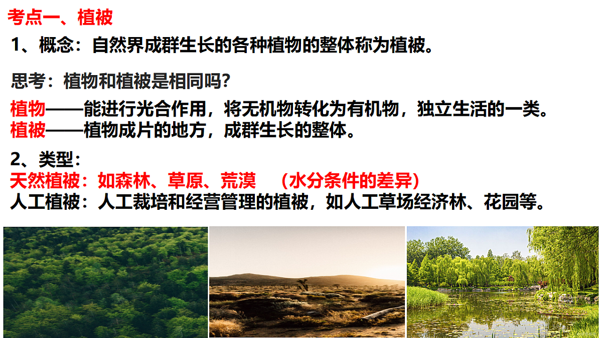 17675816第2页