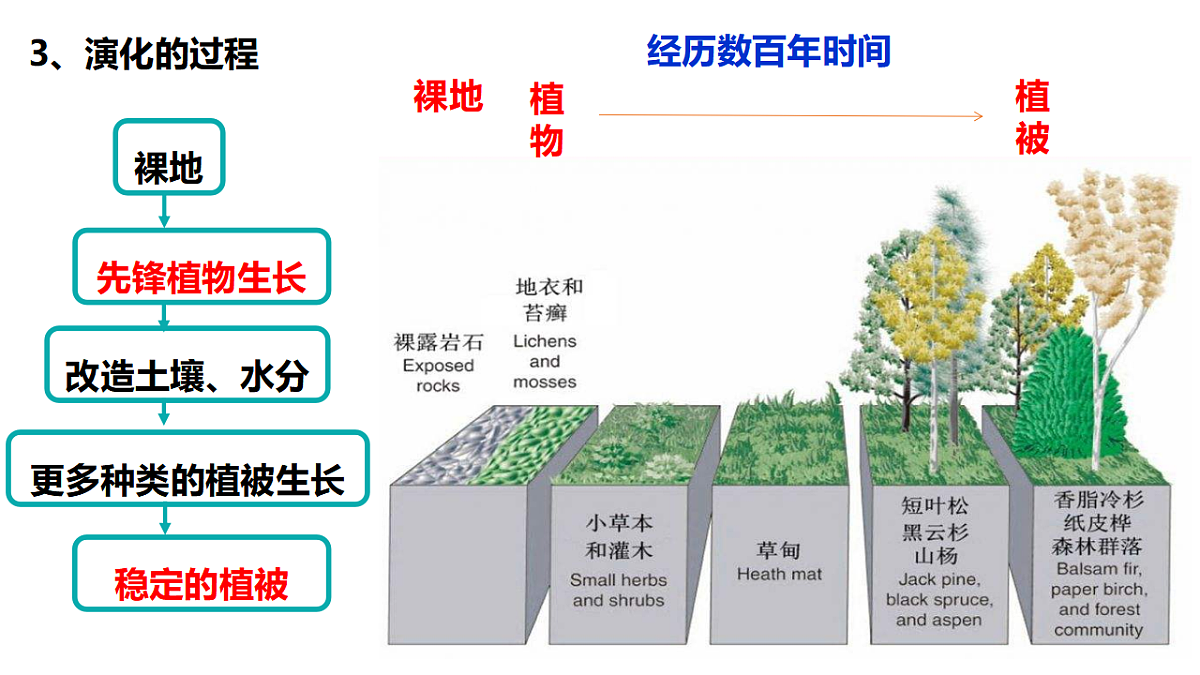 17675816第7页