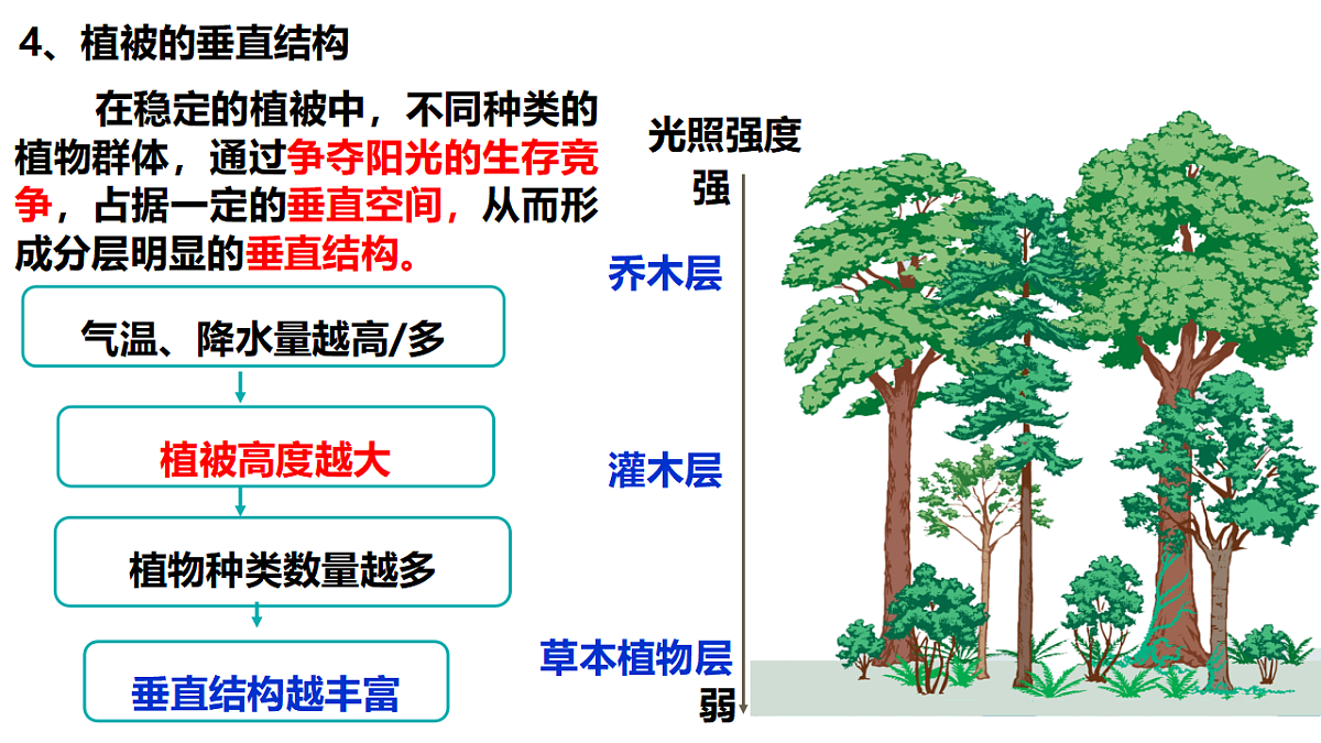 17675816第8页