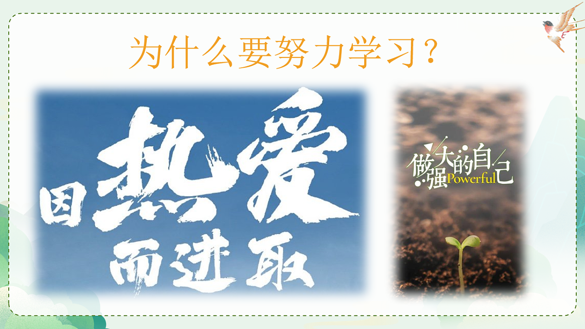 17676005第3页