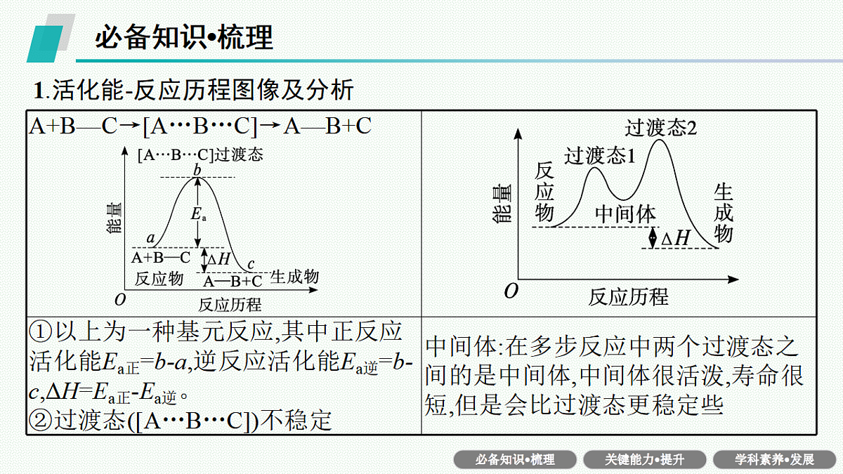17676820第4页