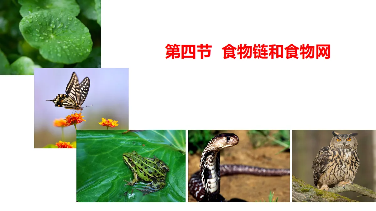 17676989第1页