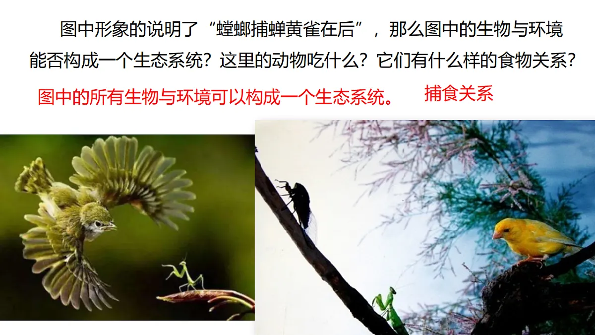 17676989第2页