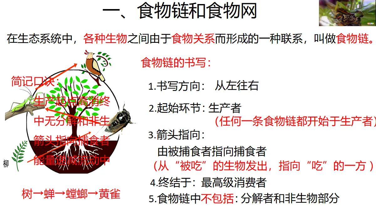17676989第3页
