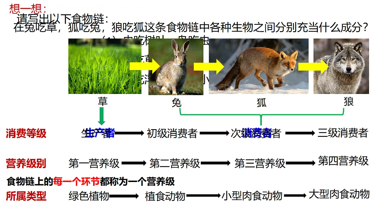 17676989第4页