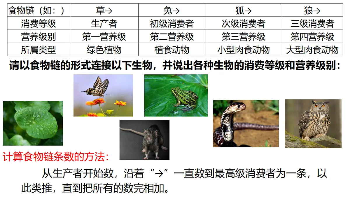 17676989第5页