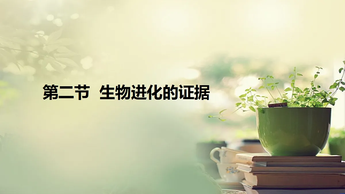 17677045第1页