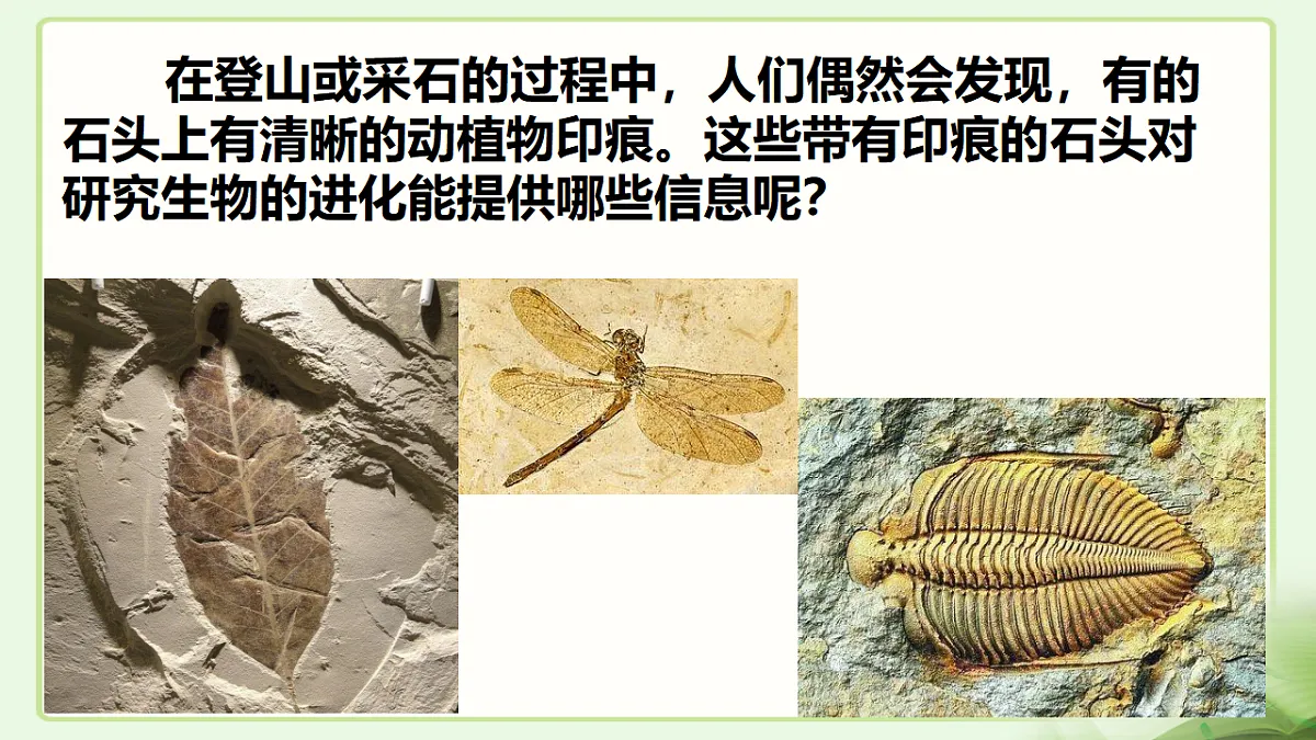 17677045第2页