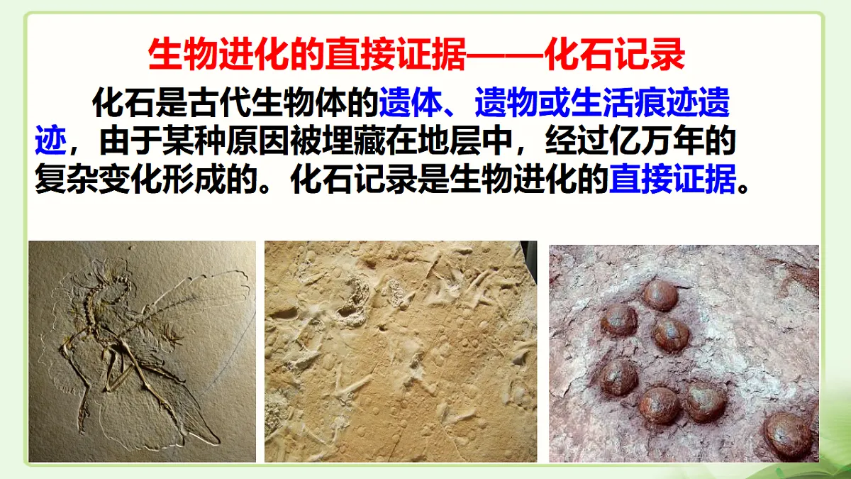 17677045第3页