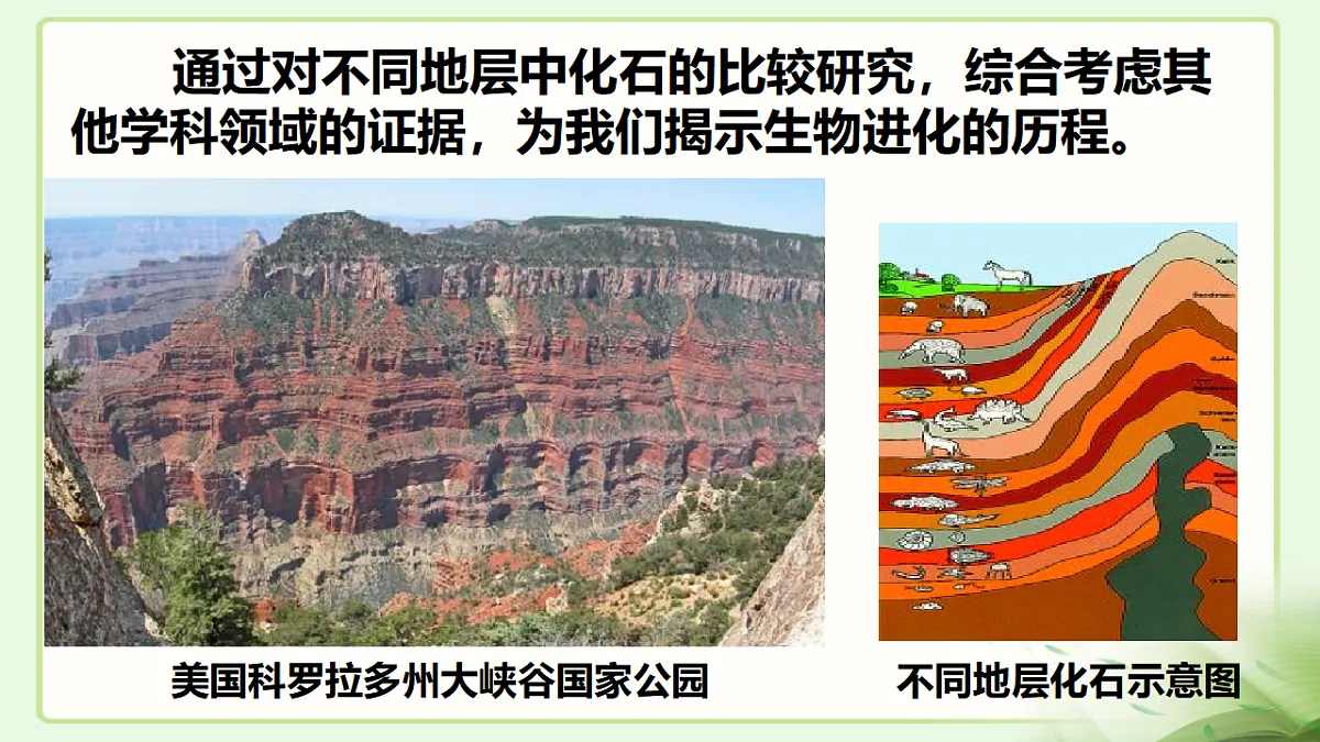 17677045第4页