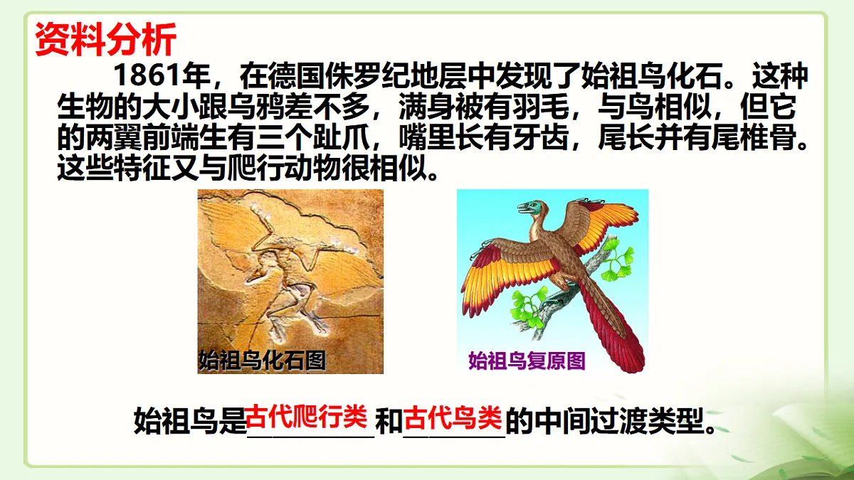 17677045第5页