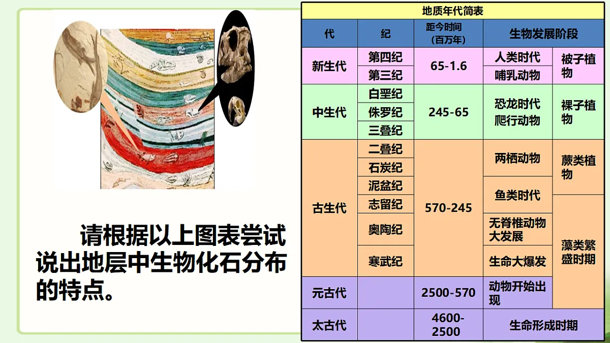 17677045第6页