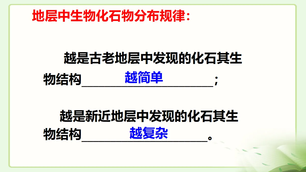 17677045第7页