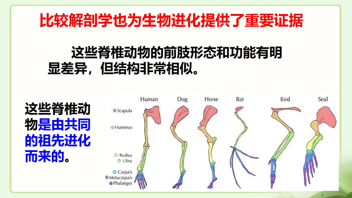 17677045第8页