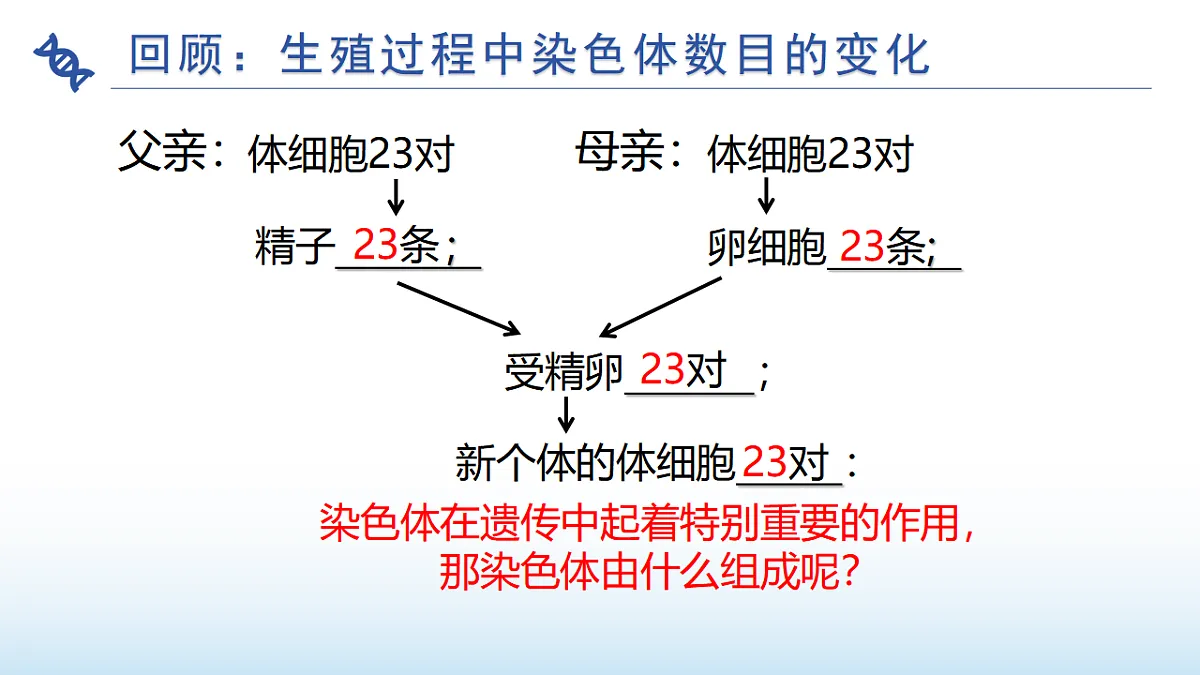 17677048第2页
