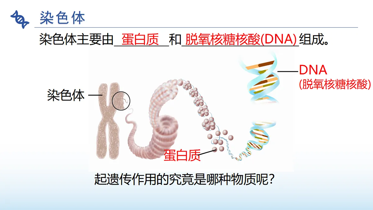 17677048第3页