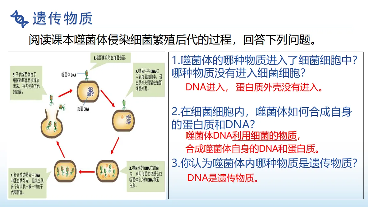 17677048第4页