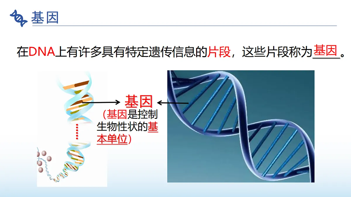 17677048第6页