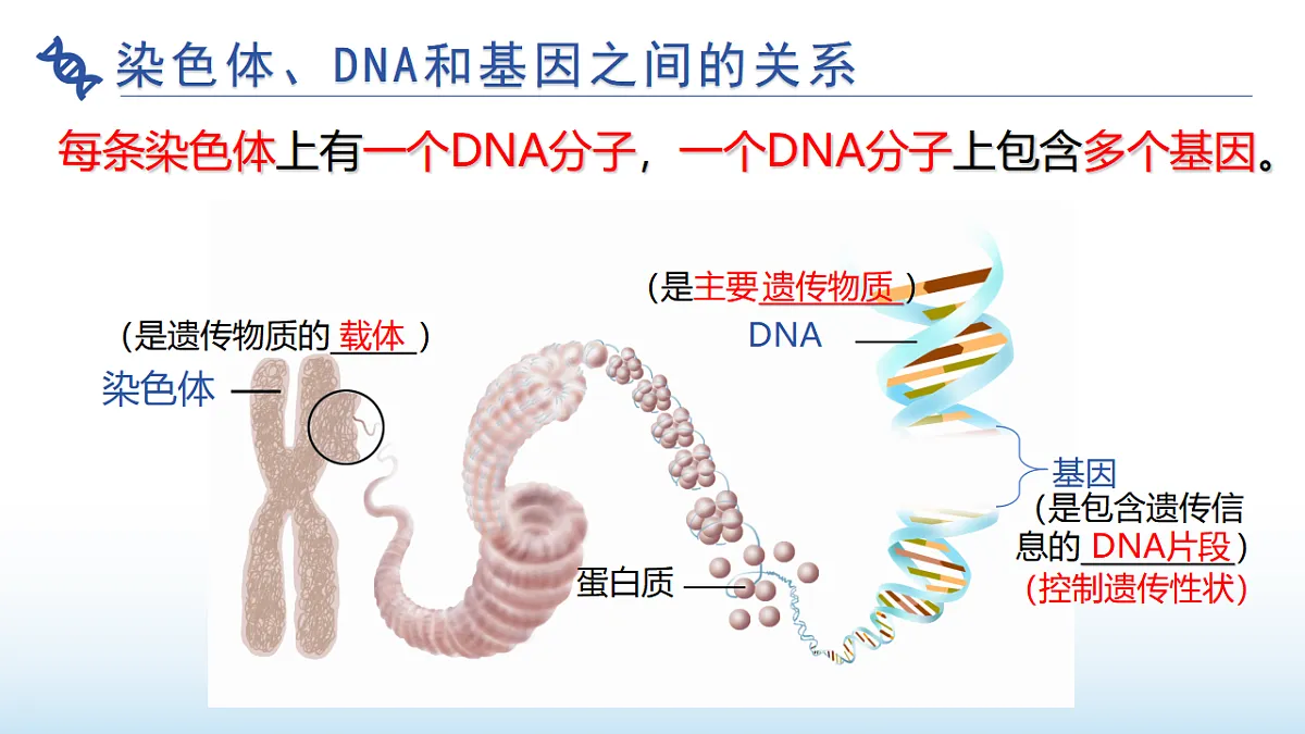 17677048第7页