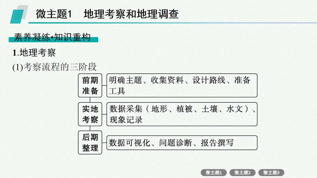 17677709第3页