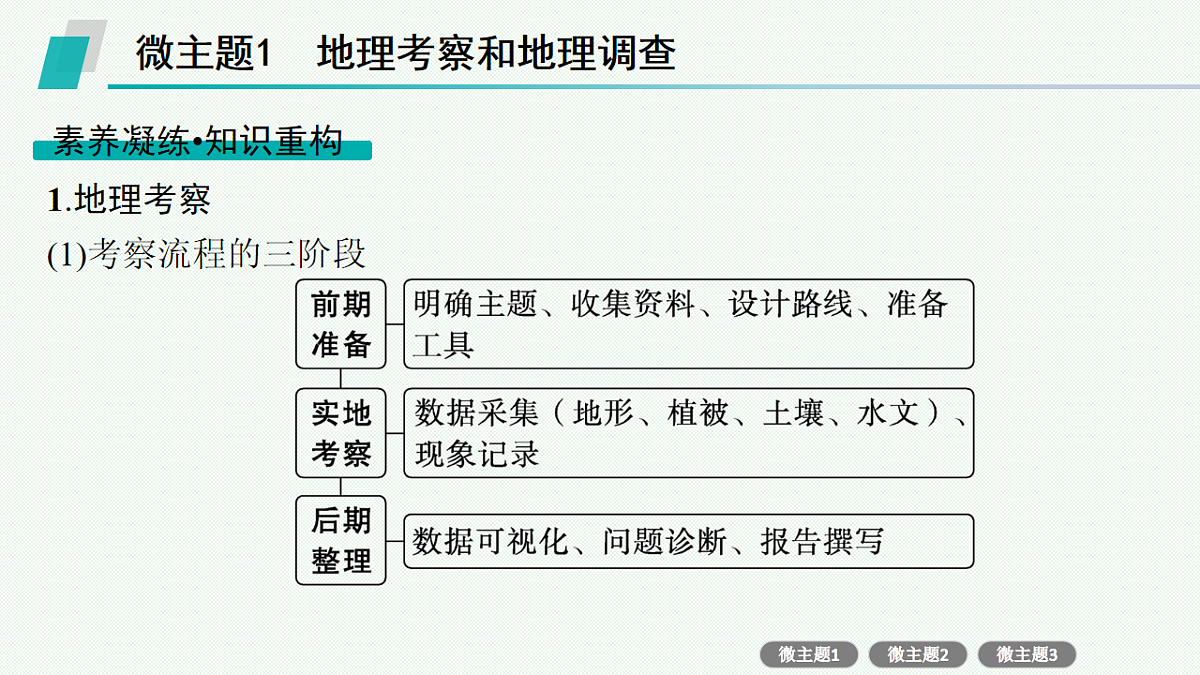 17677709第3页
