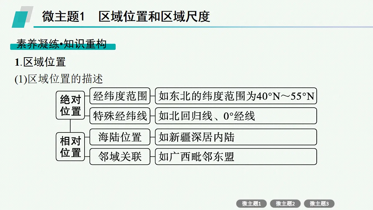 17677710第3页