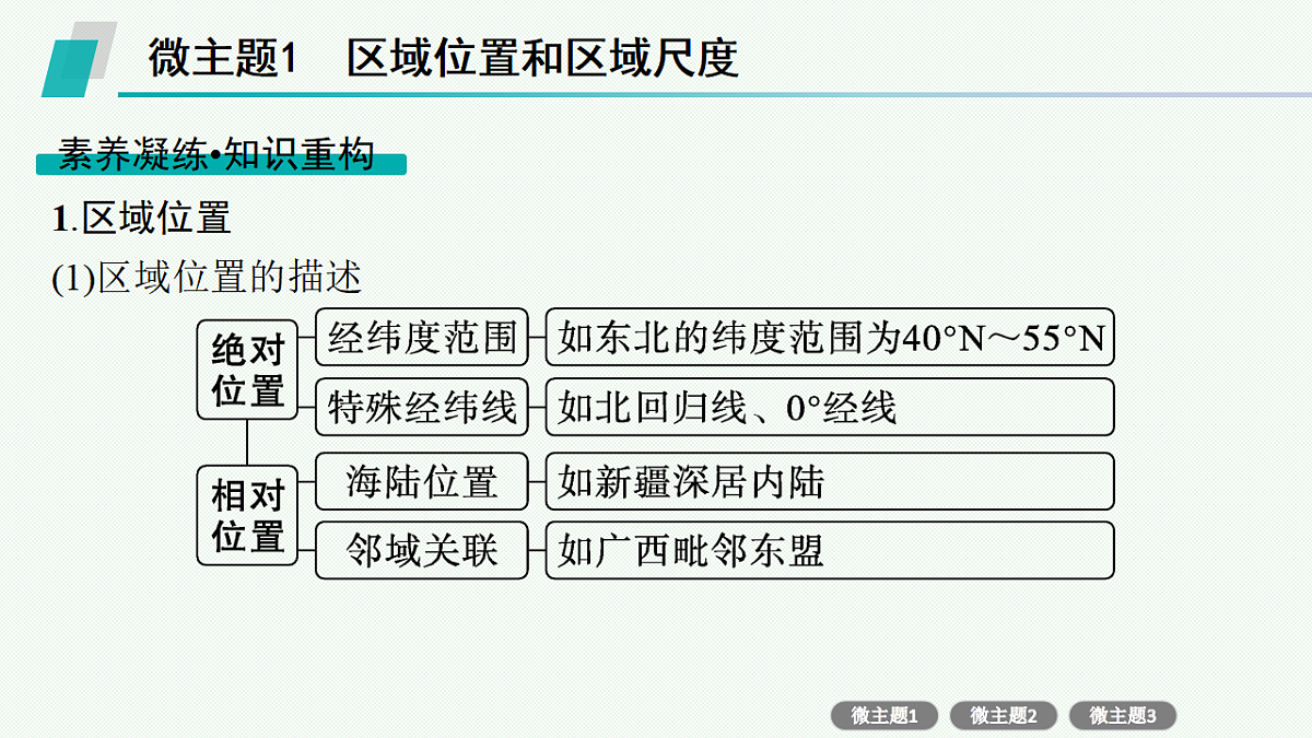 17677710第3页