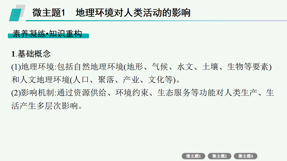 17677712第3页