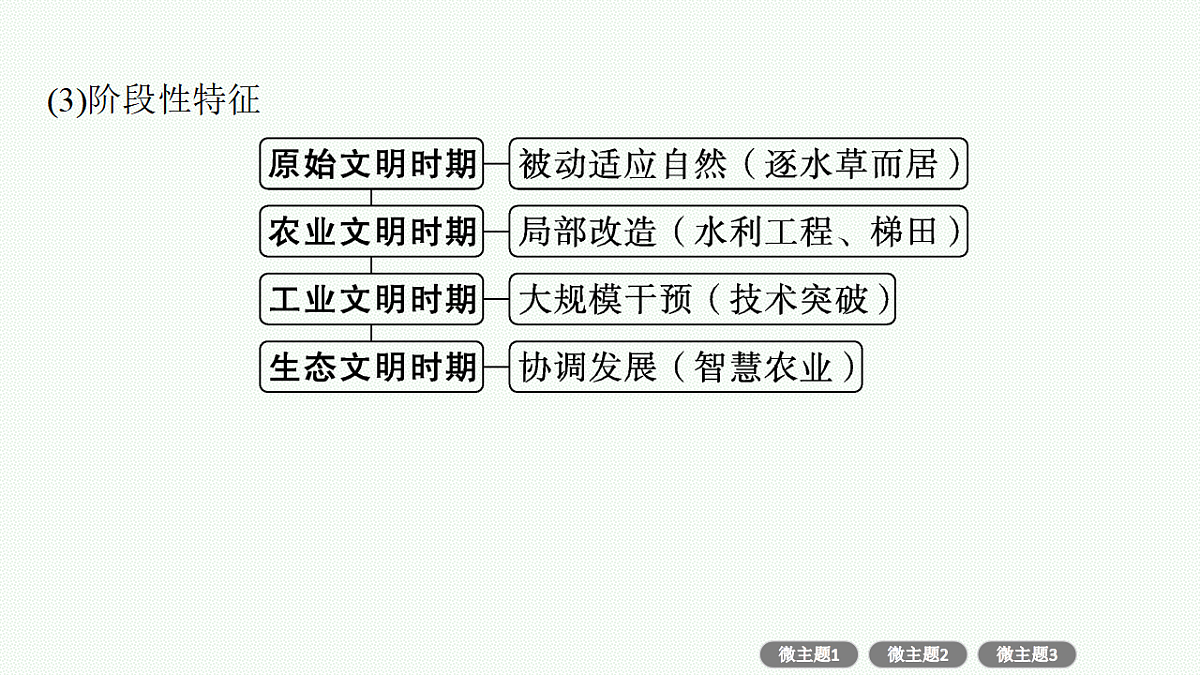 17677712第4页