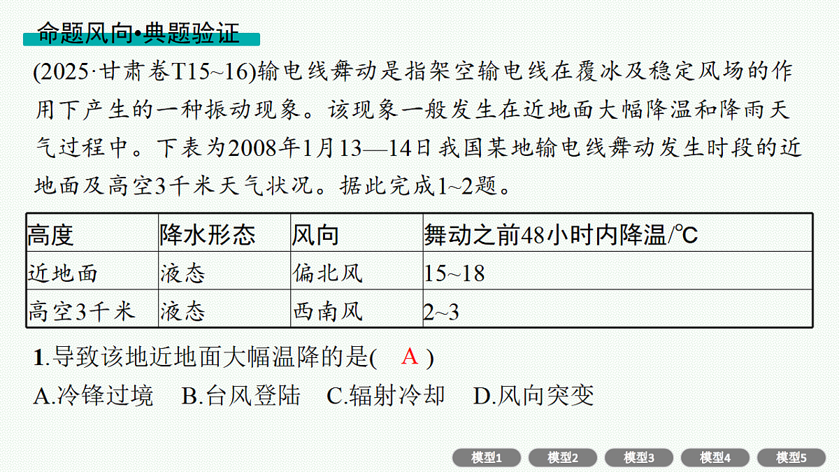 17677716第8页