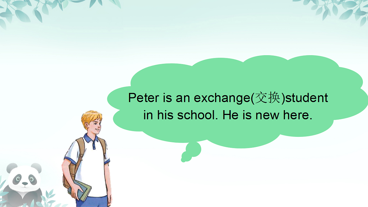 17677821第5页