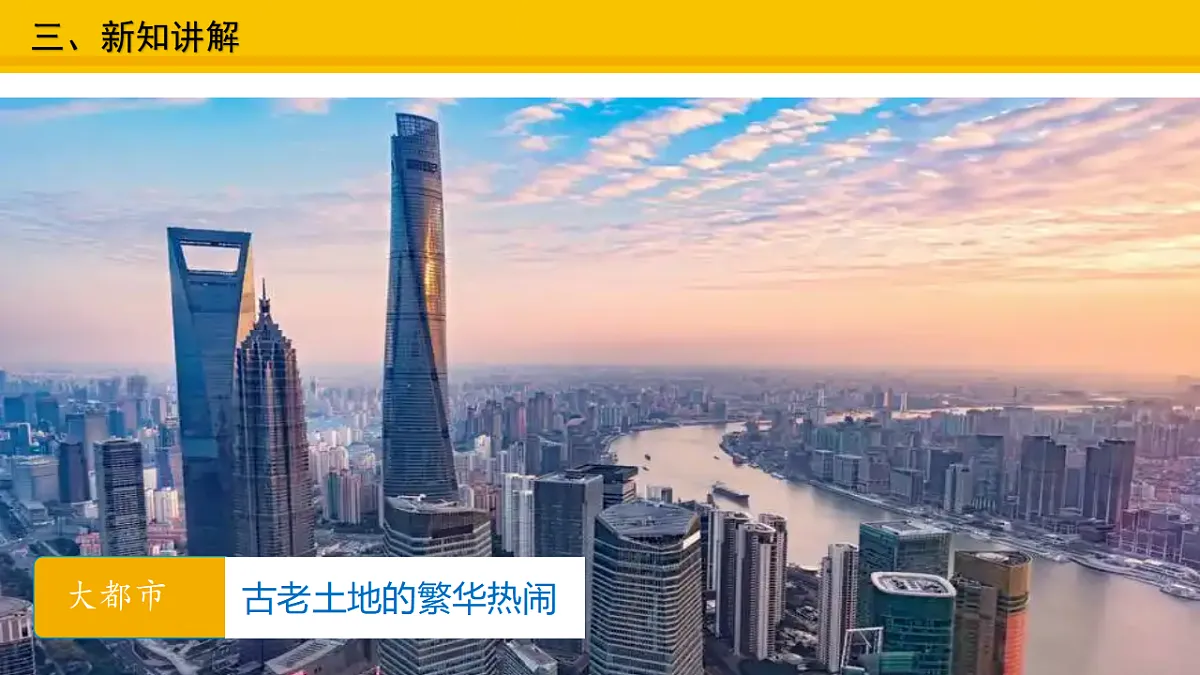 17677908第7页