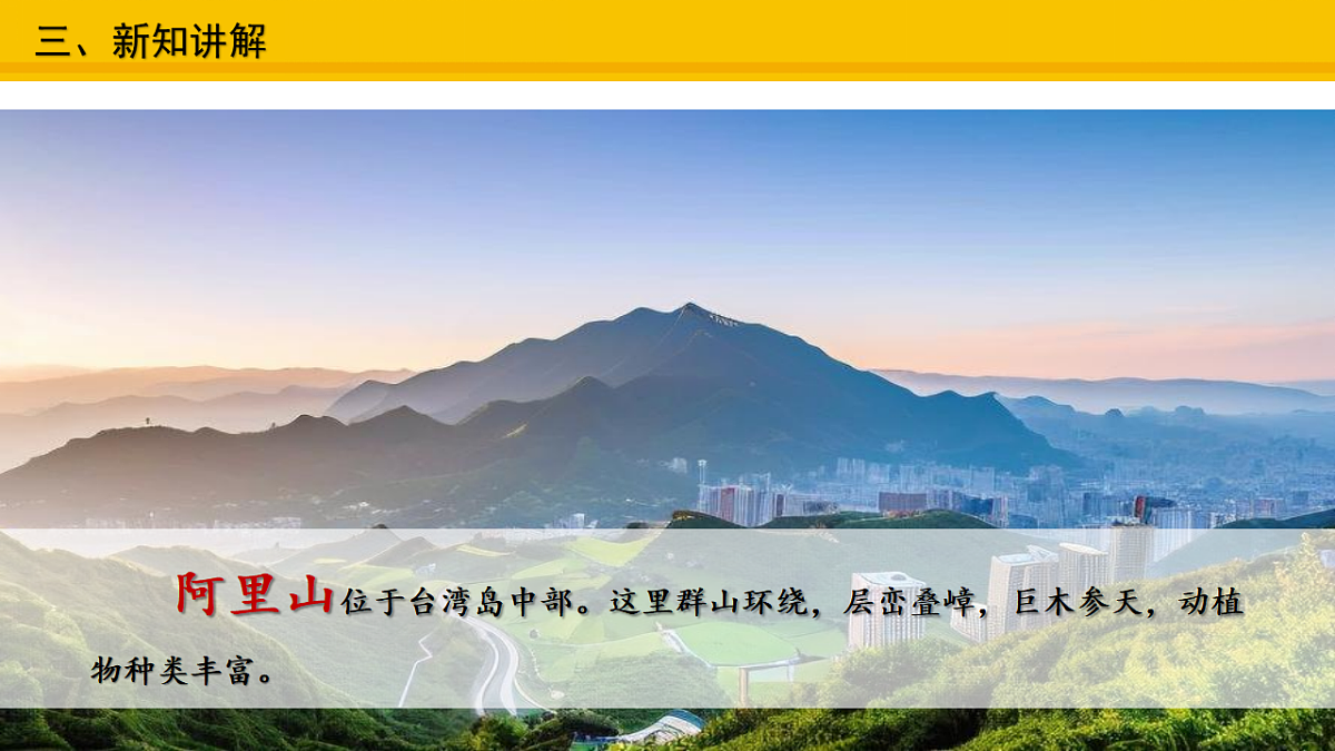17677968第6页