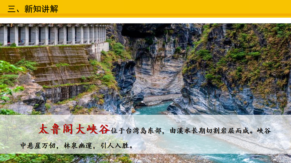 17677968第7页
