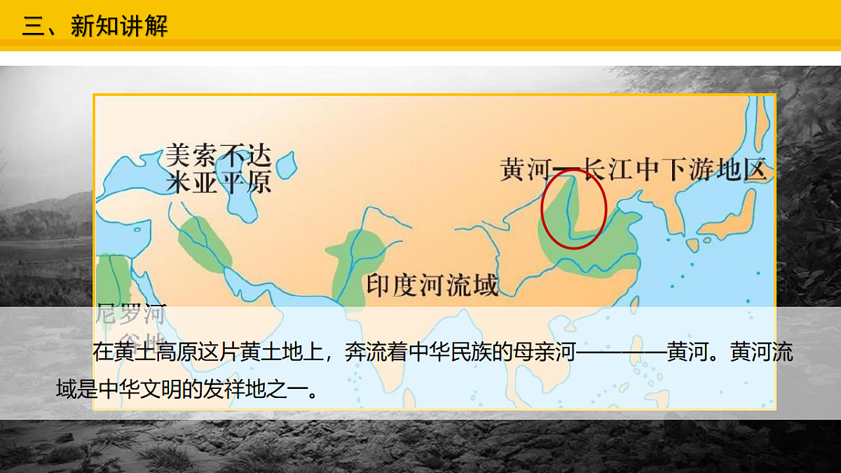 17677971第5页