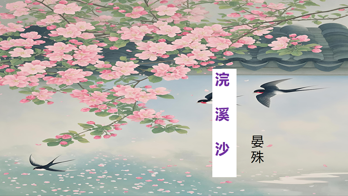 17678047第1页