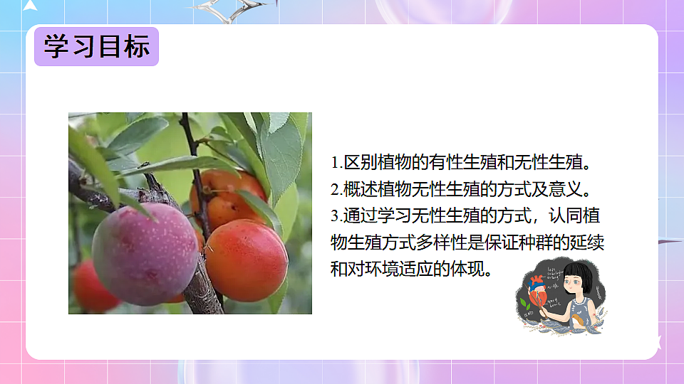 17678069第2页