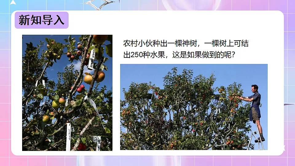 17678069第3页