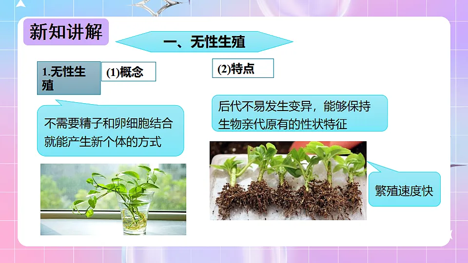 17678069第4页