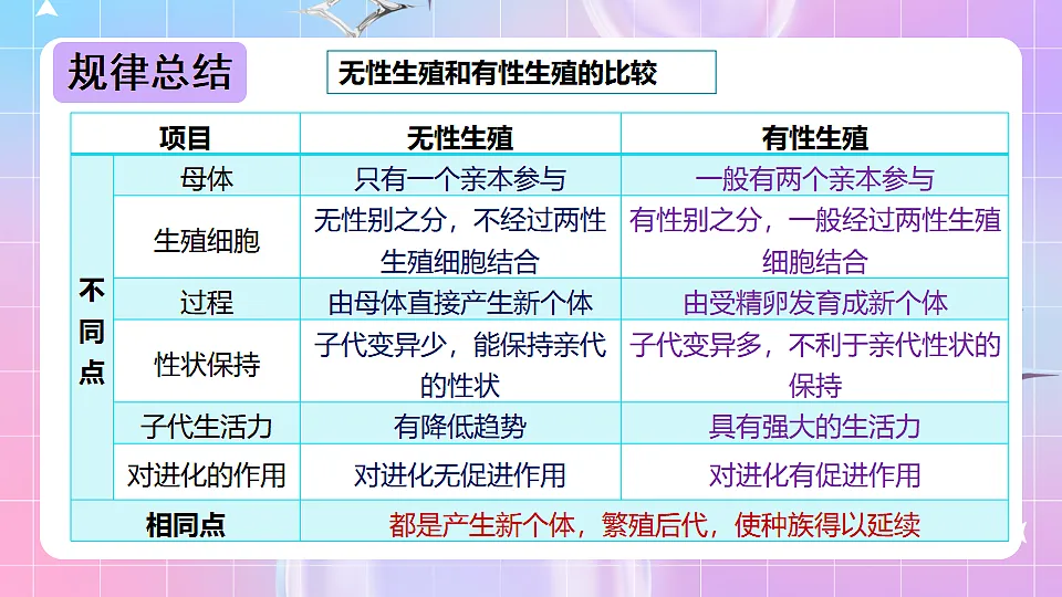 17678069第6页