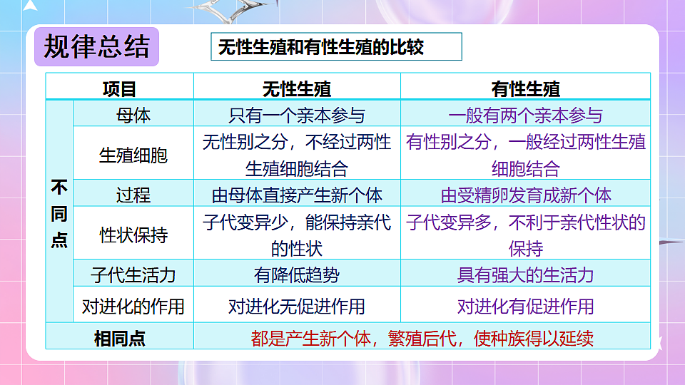 17678069第6页