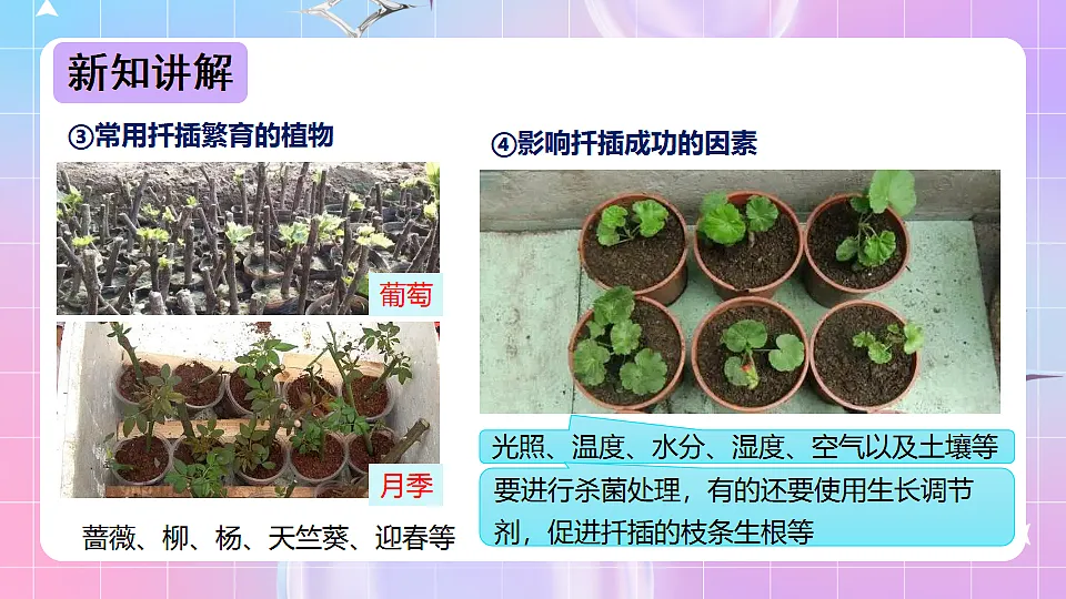 17678069第8页